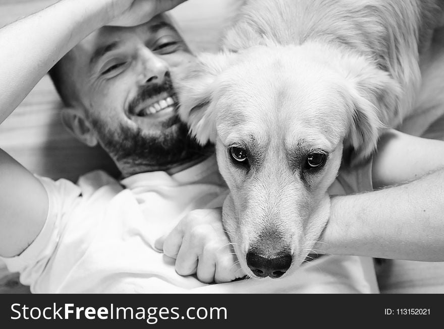 Dog, Photograph, Dog Breed, Black And White