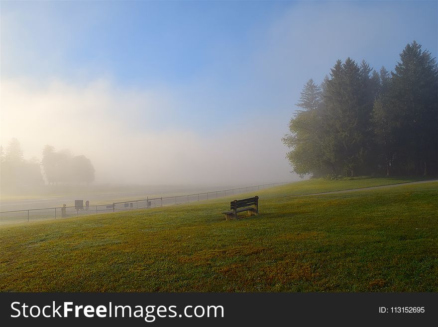 Grassland, Sky, Mist, Morning