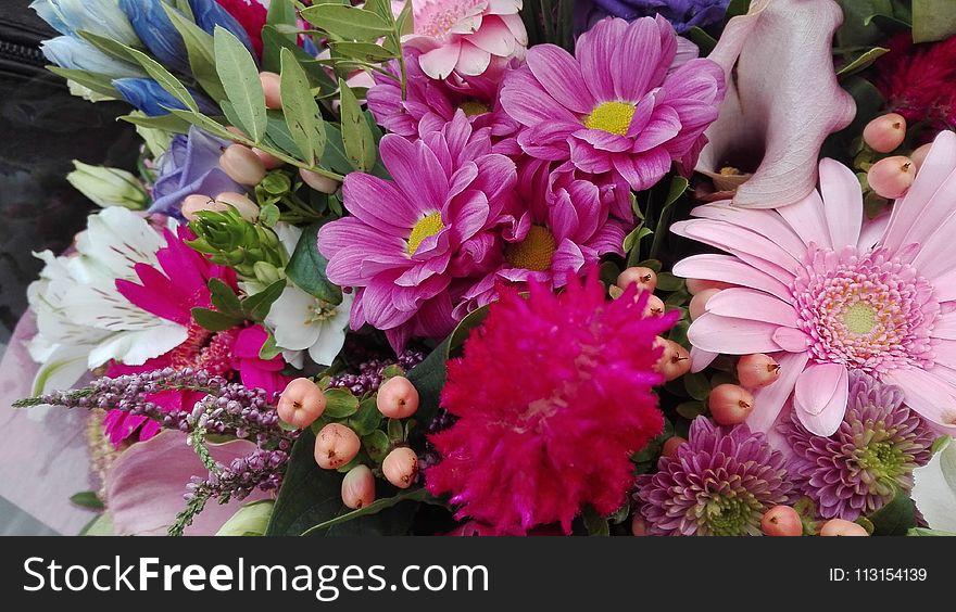 Flower, Pink, Flower Arranging, Floristry