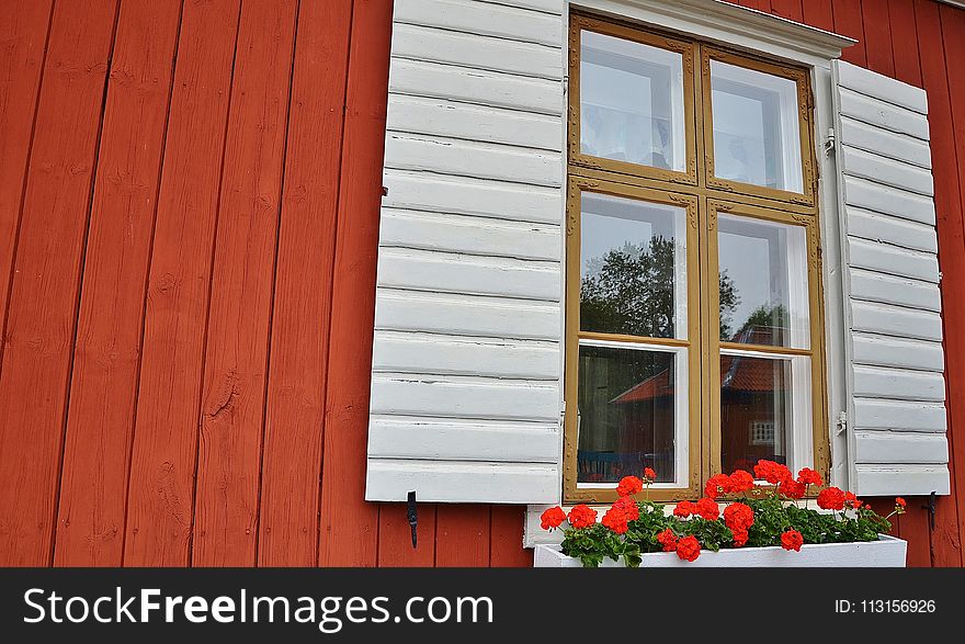 Siding, Home, Window, House