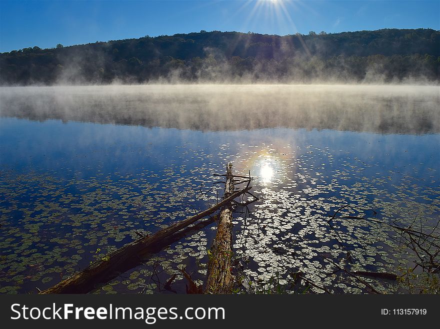 Water, Reflection, Nature, Lake