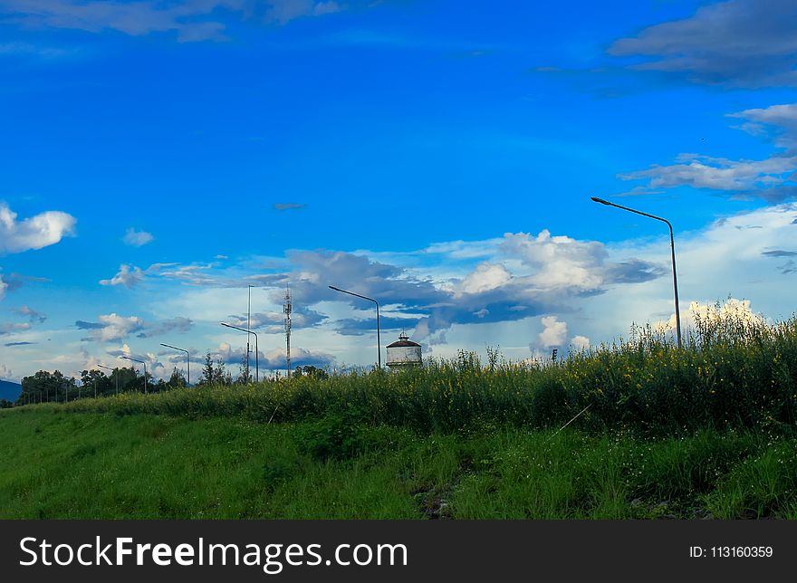 Sky, Grassland, Cloud, Ecosystem