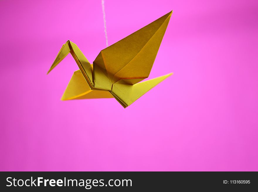 Art Paper, Origami, Origami Paper, Paper