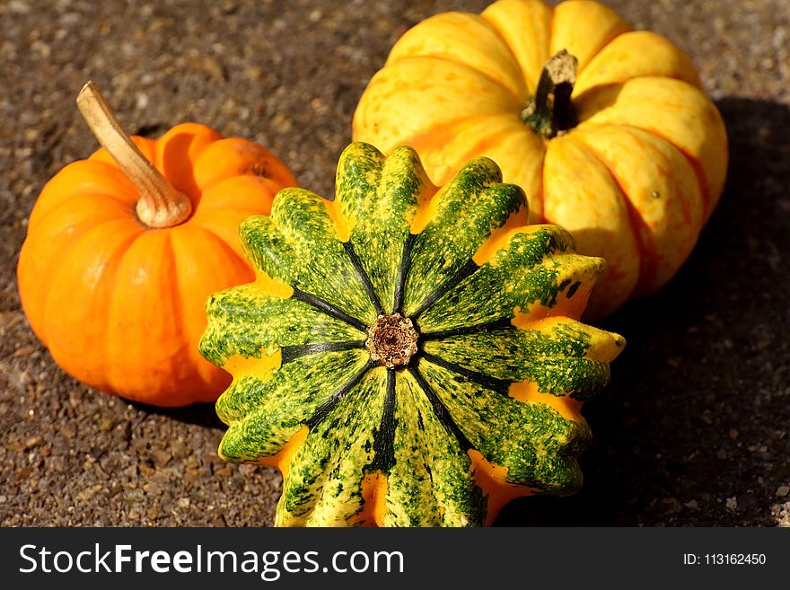 Vegetable, Winter Squash, Cucurbita, Calabaza