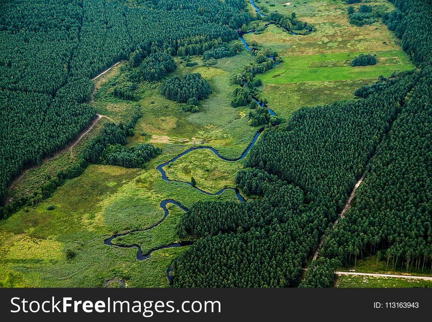 Vegetation, Nature Reserve, Ecosystem, Highland