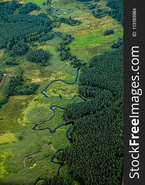 Vegetation, Green, Aerial Photography, Ecosystem