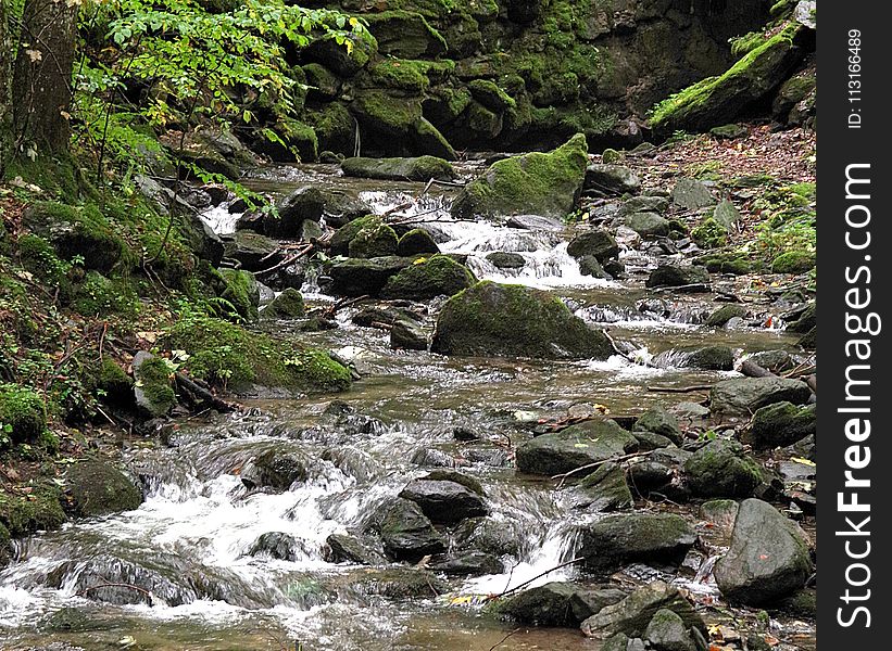 Stream, Water, Nature, Body Of Water