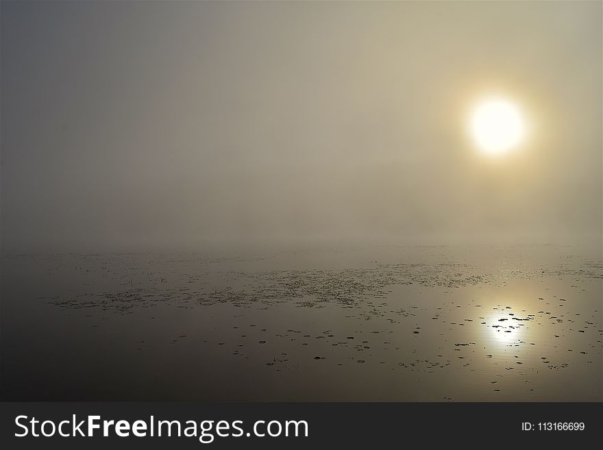 Fog, Mist, Atmosphere, Calm