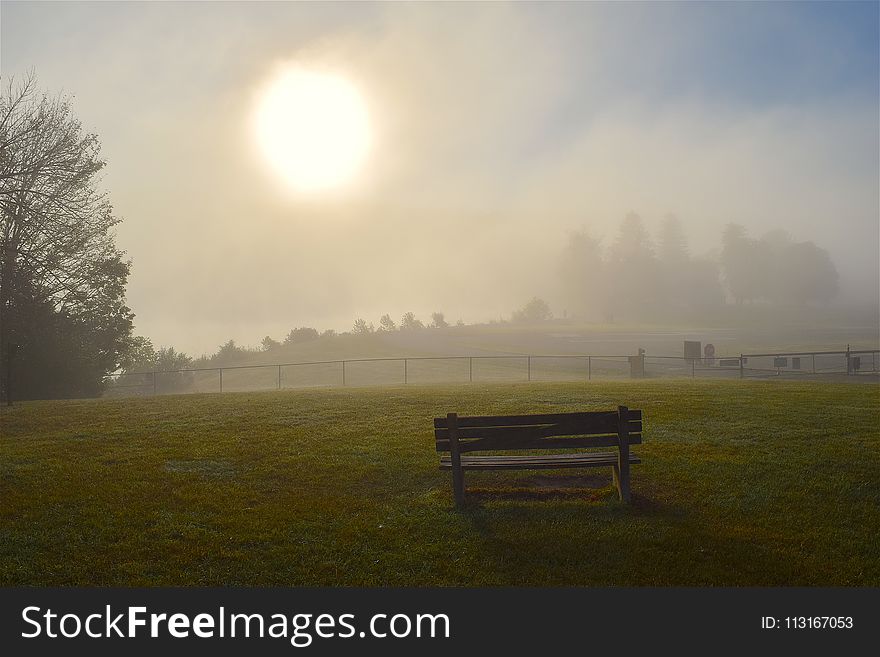 Mist, Fog, Field, Morning