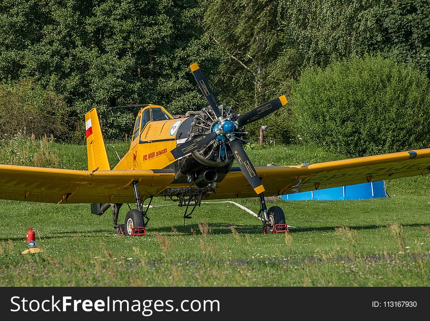 Aircraft, Model Aircraft, Plant, Monoplane