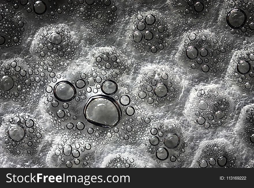 Water, Black And White, Monochrome Photography, Organism