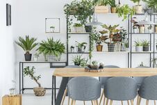 Dining Room Interior With Plants Royalty Free Stock Image