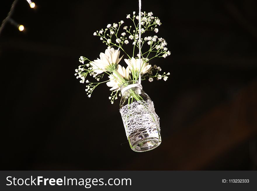 Photo of White Flowesr on Clear Glass Bottle