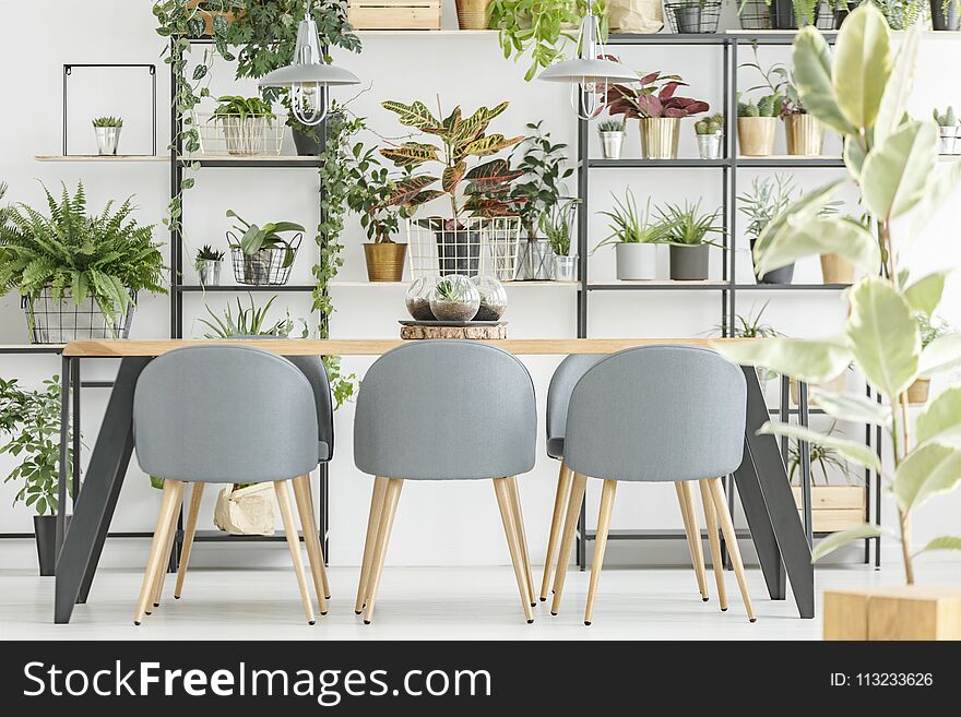 Floral Grey Dining Room Interior