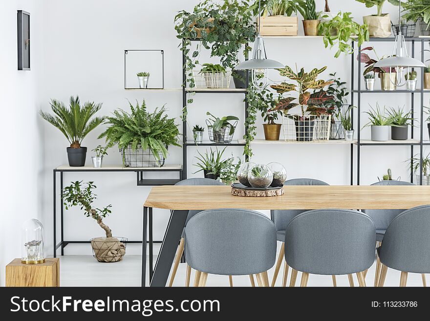 Dining room interior with plants