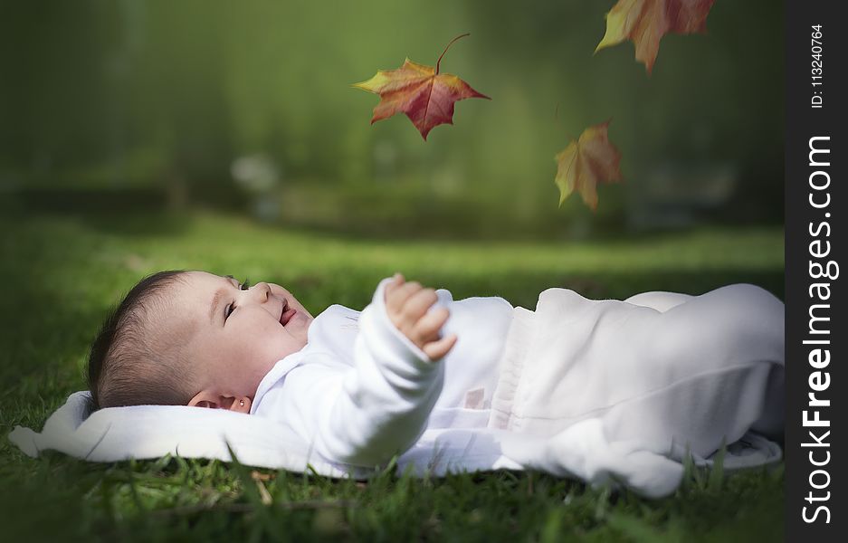 Child, Infant, Grass, Leaf