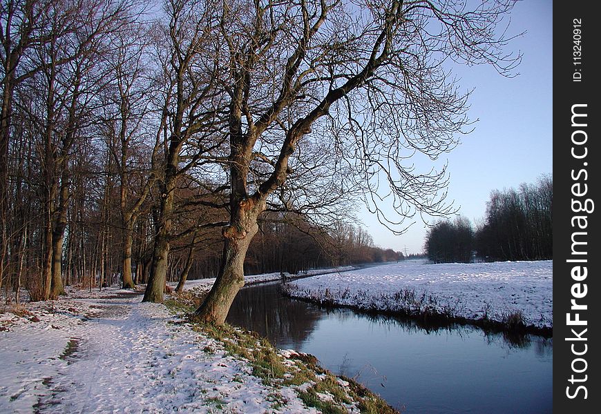 Winter, Waterway, Tree, Snow