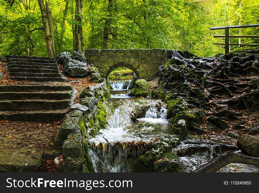 Water, Nature, Body Of Water, Stream