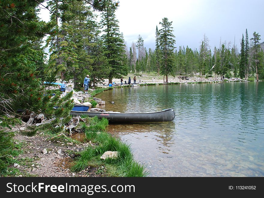 Body Of Water, Lake, Nature Reserve, Water