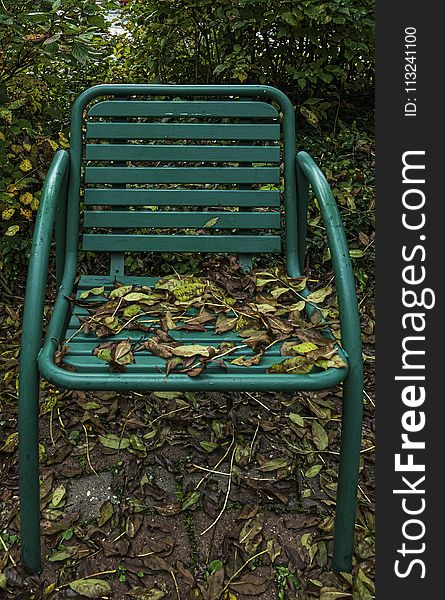 Green, Furniture, Chair, Grass