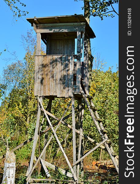 Tree Stand, Tree, Outdoor Structure, Outhouse