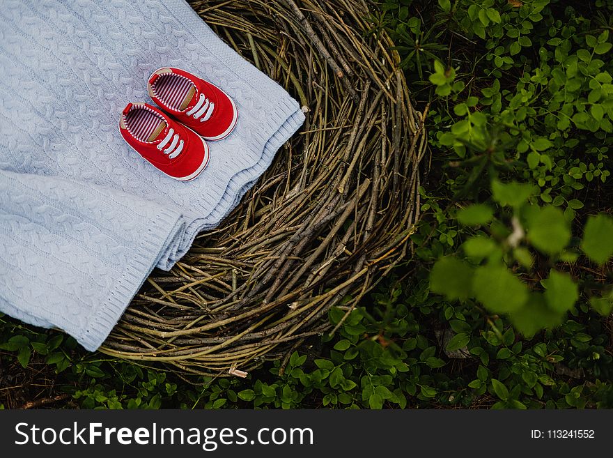 Grass, Bird Nest, Tree