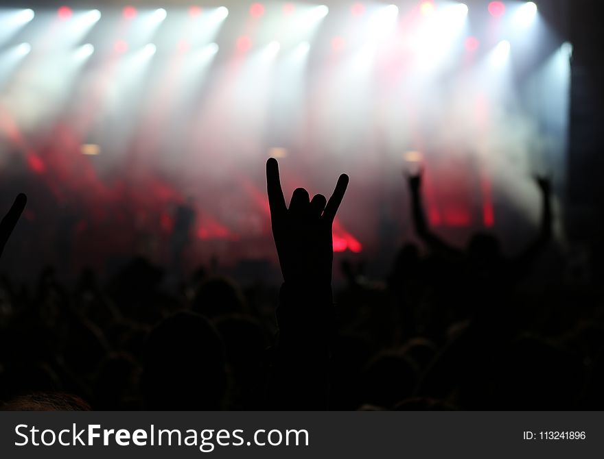 Crowd, People, Rock Concert, Concert