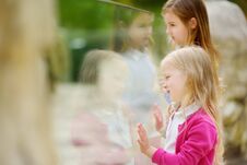 Cute Little Girls Watching Animals At The Zoo On Warm And Sunny Summer Day. Children Watching Zoo Animals Through The Window. Royalty Free Stock Images