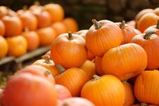 Decorative Orange Pumpkins On Display At The Farmers Market In Germany. Orange Ornamental Pumpkins In Sunlight. Royalty Free Stock Photography