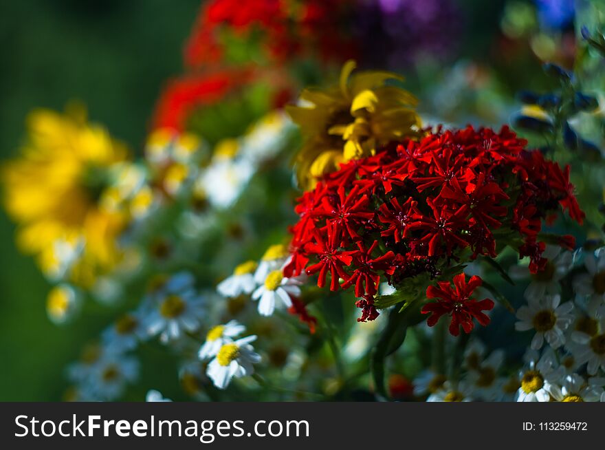 a bouquet of bright spring flowers of various types