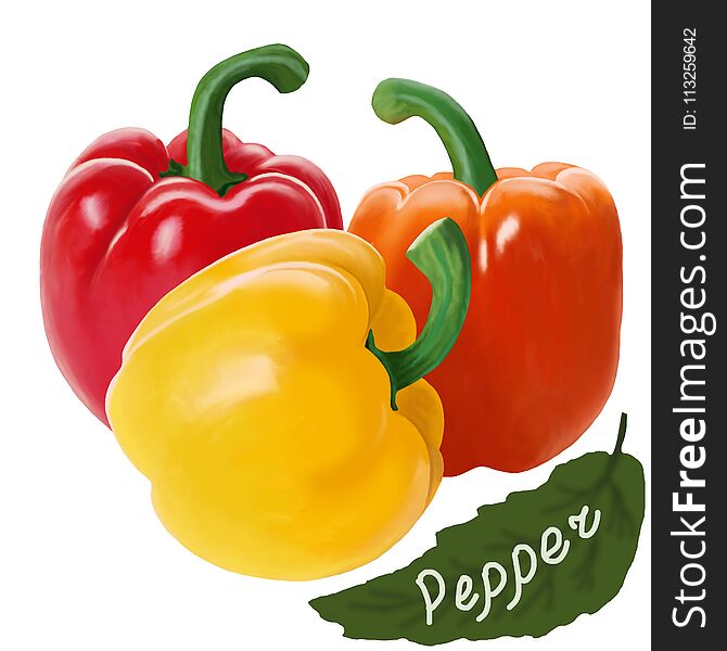 Multi-colored mature peppers on a white background.