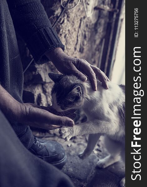 Toned image of a man feeding a cat