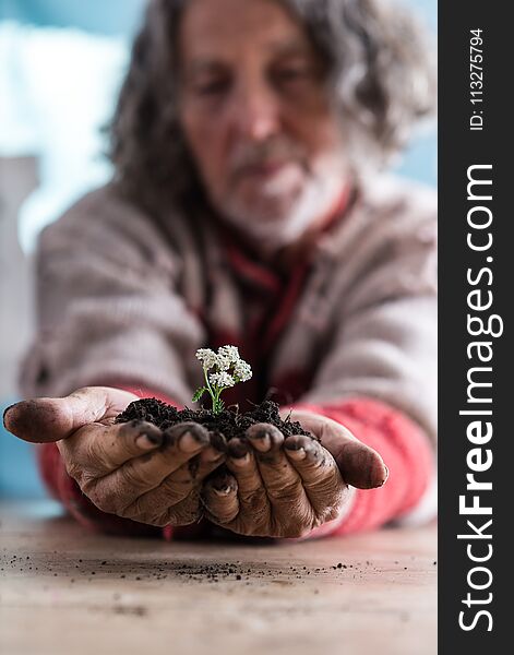 Senior man holding a dainty flower in rich soil