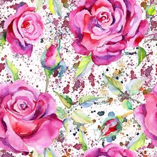Wildflower Rose Flower Pattern In A Watercolor Style. Stock Image