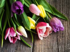 Spring Tulips Flowers Stock Images Spring Tulips Flowers Stock Images