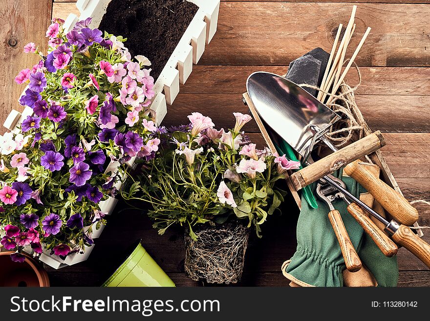 Flowers with gardening tools on wooden background