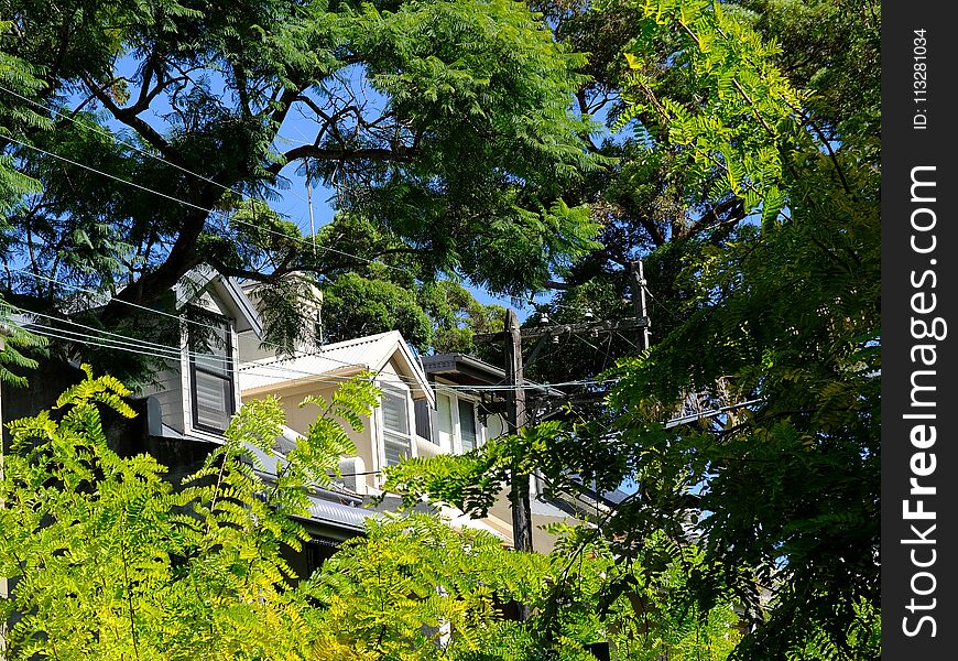 Dormer windows on the upper level of an inner Sydney city, Darlinghurst, terrace house, on a green and leafy street, NSW, Australia. Dormer windows on the upper level of an inner Sydney city, Darlinghurst, terrace house, on a green and leafy street, NSW, Australia.