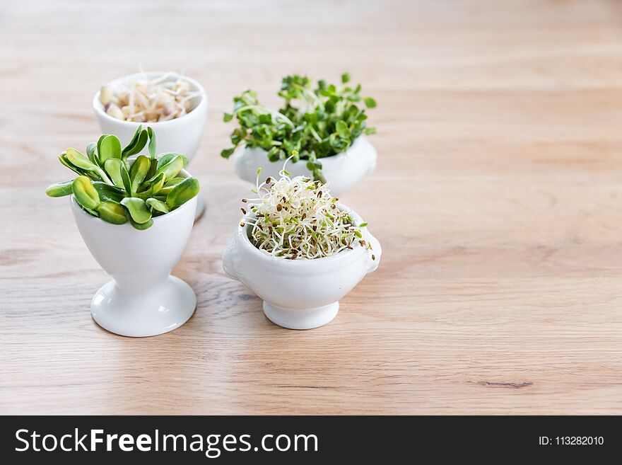 Different types of micro greens in white bowls for sauces on wooden background. Fresh garden produce organically grown