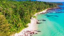 Aerial View Of Beautiful Beach And Sea With Coconut Palm Tree Stock Photos