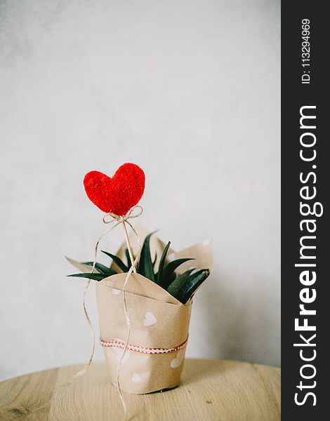 Red Heart Ornament And Aloe Vera Plant Covered With Paper