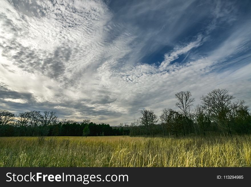 Green Grass Under Blue And White Sky At Daytime