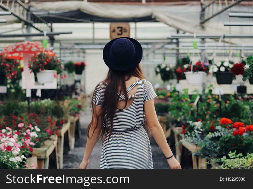 Woman Walking Between Display Of Flowers And Plants