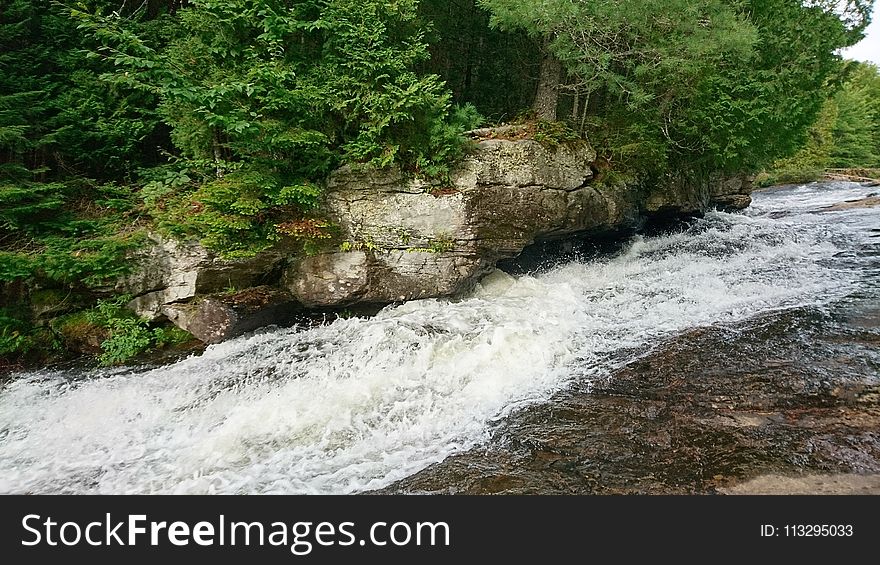 Trees Near Body of Water