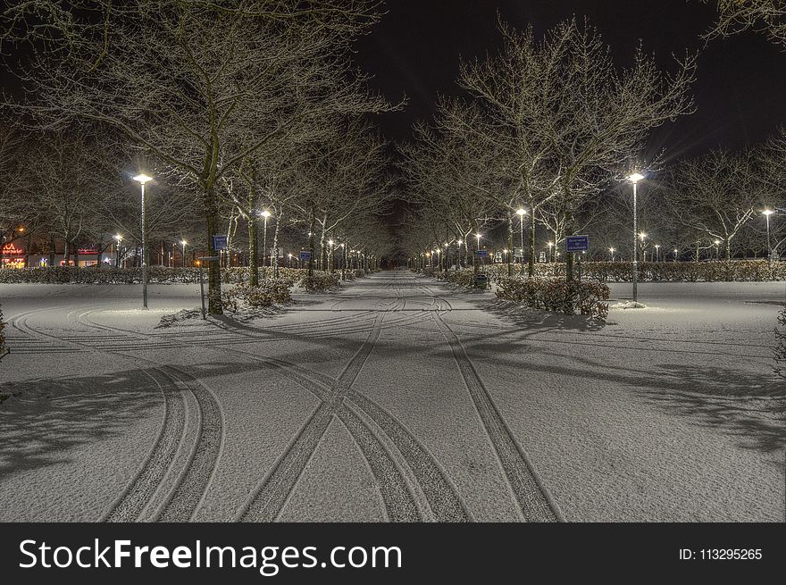 Cleared Road Near Trees and Light Post during Nighttime