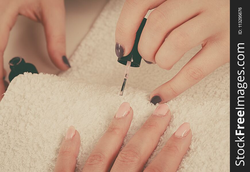 Closeup of beautician painting nails of female client. Woman in beauty spa salon doing manicure. Closeup of beautician painting nails of female client. Woman in beauty spa salon doing manicure