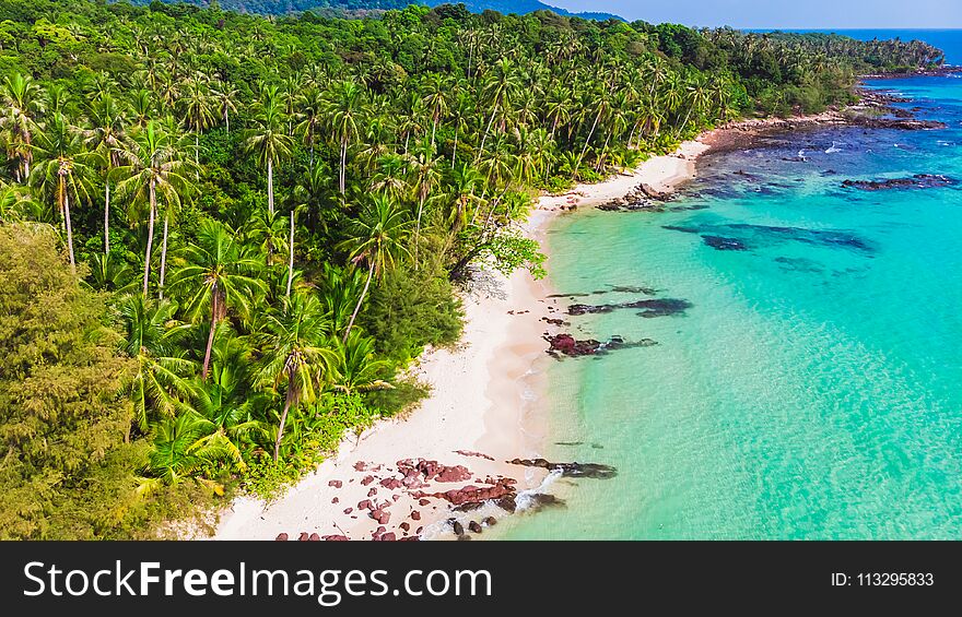 Aerial view of beautiful beach and sea with coconut palm tree