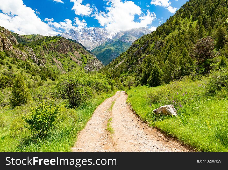 A dirt road in the Tien Shan mountains in the spring .