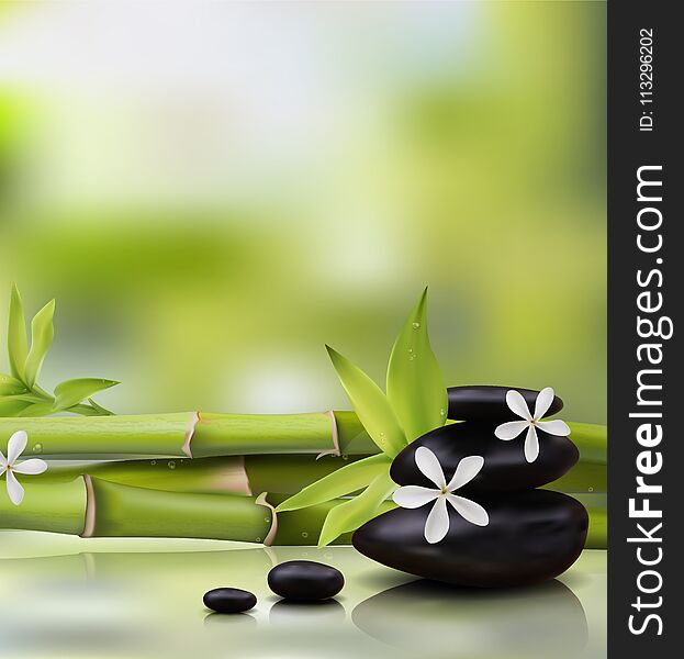 Spa background with bamboo and stones. Vector