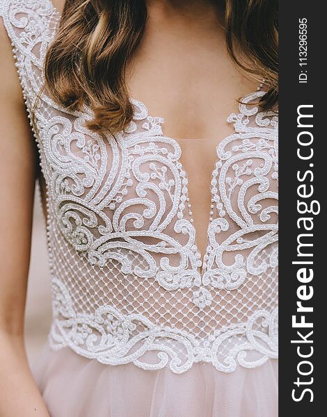 Beautiful soft lace on the corset of a stylish wedding beige dress adorned with beads and embroidery on the bride