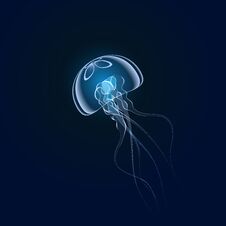 Hand Drawn Jellyfish. Vector Illustration Royalty Free Stock Photography